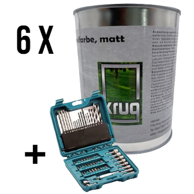 Set 6 x 0,75 Ltr. Krug Antischimmelfarbe, matt + 1 x Makita Zubehörset P-90358