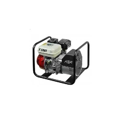 Stromerzeuger FOGO F3001 2,5 KW